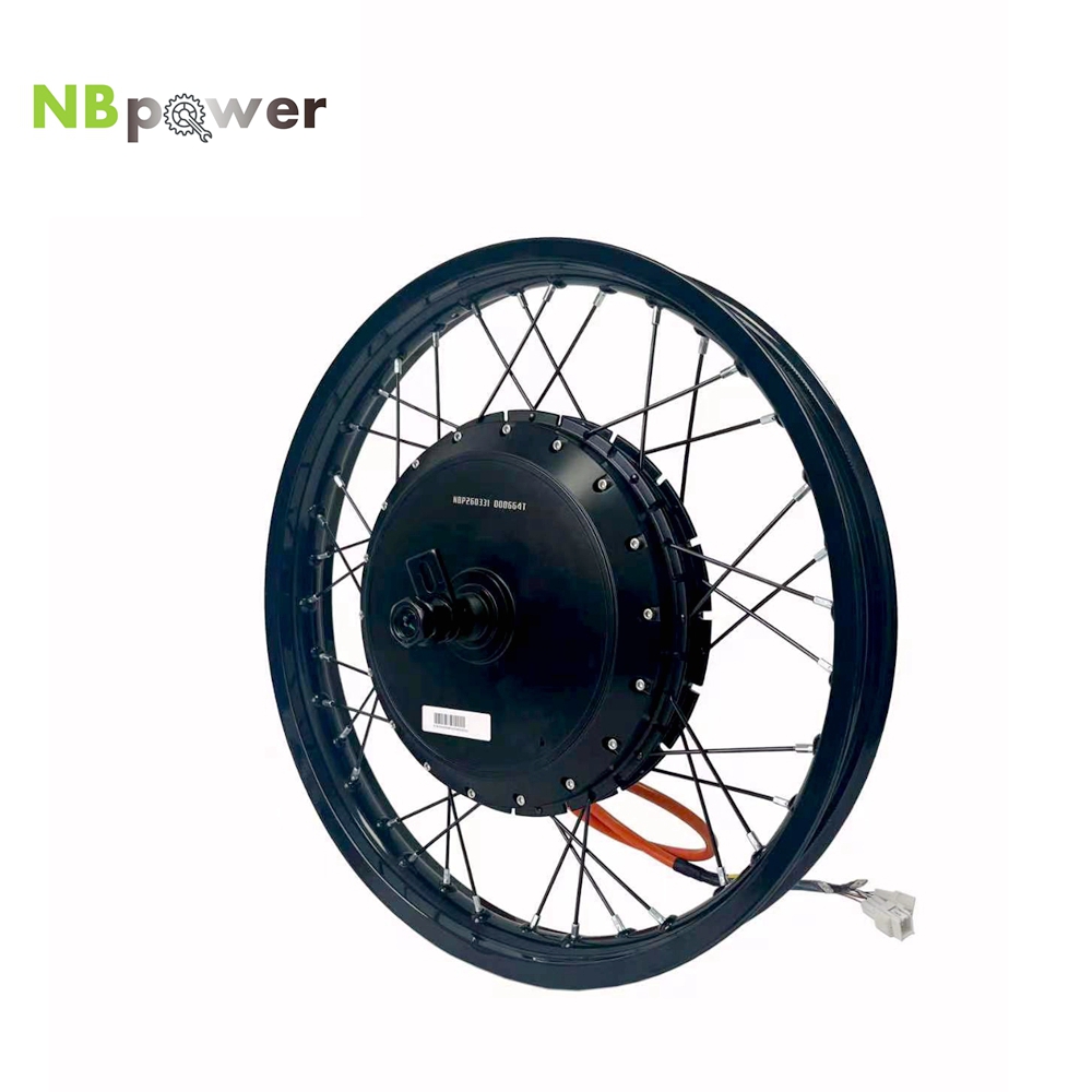 Qs Motor 273 8000W Hub Motor - มอเตอร์ดุมล้อหลัง NBpower/170mm Dropout QS 273 40H